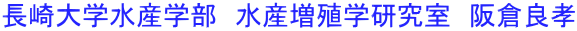 長崎大学水産学部　水産増殖学研究室　阪倉良孝 