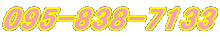 095-838-7133